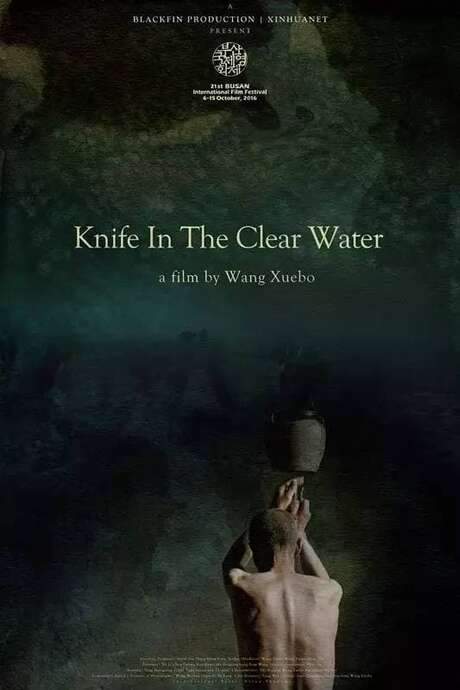 Knife in the Clear Water (2016) movie poster