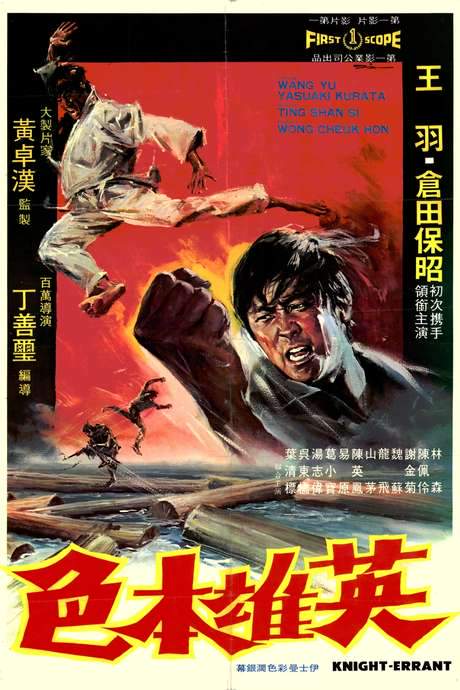 Knight Errant (1973) movie poster