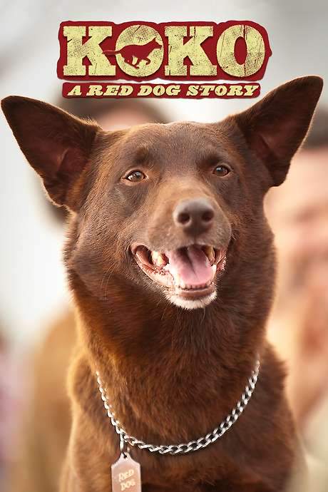 Koko: A Red Dog Story (2019) movie poster