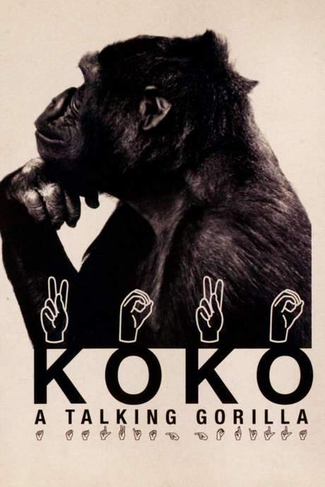 Koko: A Talking Gorilla (1978) movie poster