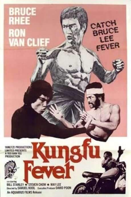 Kung Fu Fever (1979) movie poster