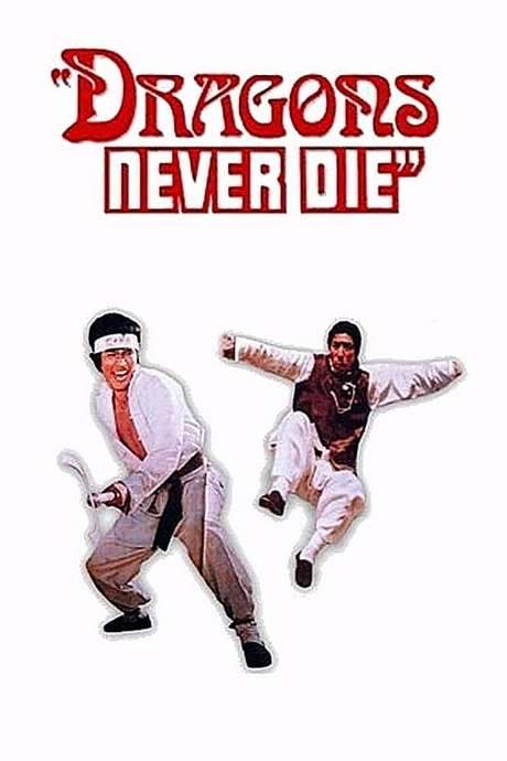 Kung Fu 10th Dan (1974) movie poster