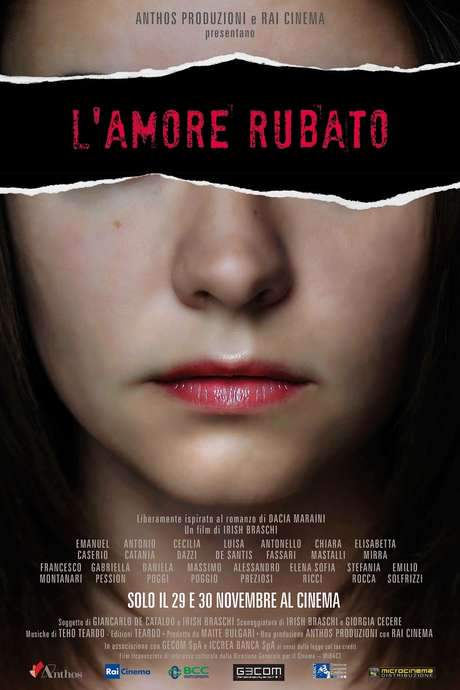 L’amore rubato (2016) movie poster