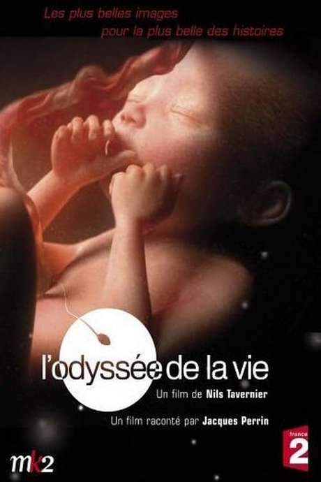 L’odyssée de la vie (2006) movie poster