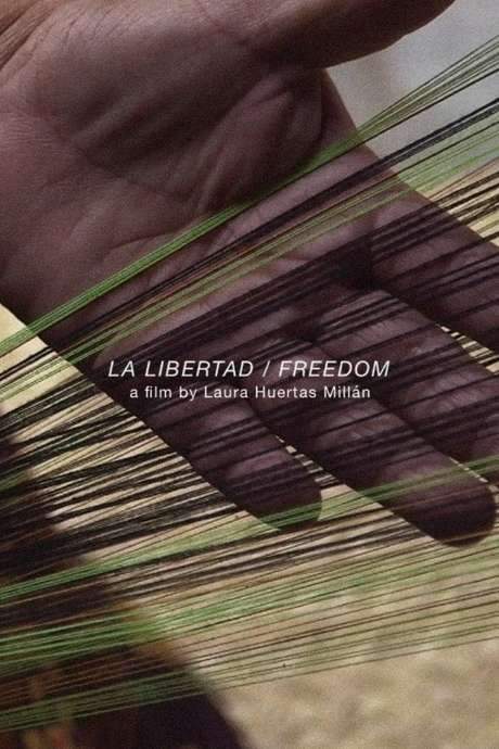 La Libertad (2017) movie poster