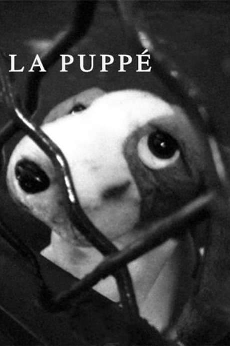 La Puppé (2003) movie poster