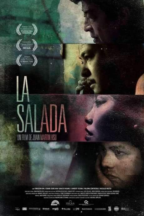 La Salada (2014) movie poster