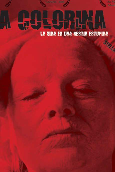 La colorina (2008) movie poster