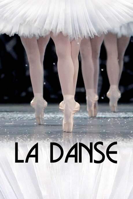 La Danse: The Paris Opera Ballet (2009) movie poster