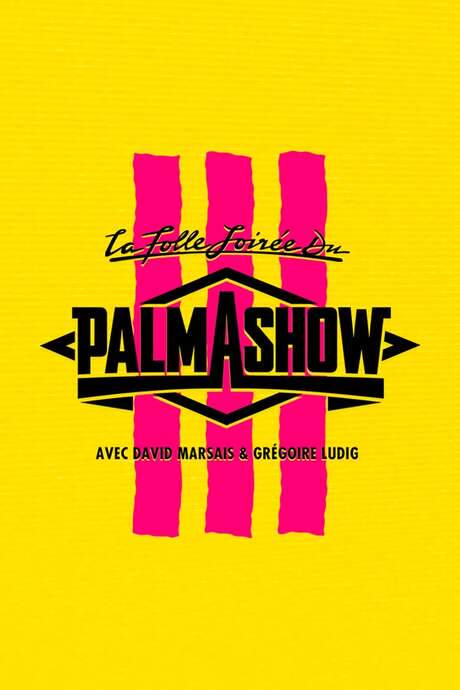 La Folle Soirée du Palmashow 3 (2016) movie poster