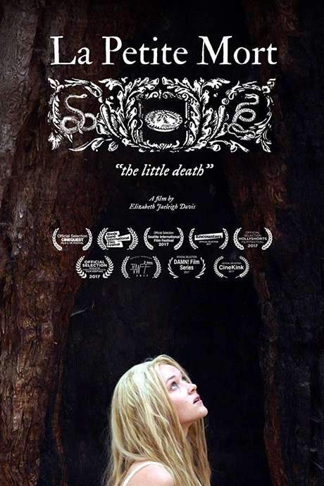La Petite mort (2017) movie poster