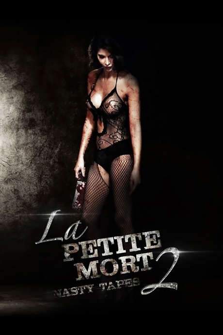La Petite Mort 2: Nasty Tapes (2014) movie poster