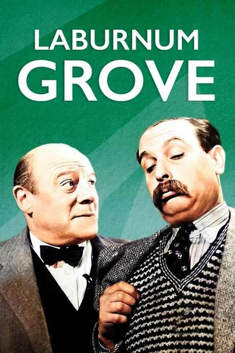 Laburnum Grove (1936) movie poster