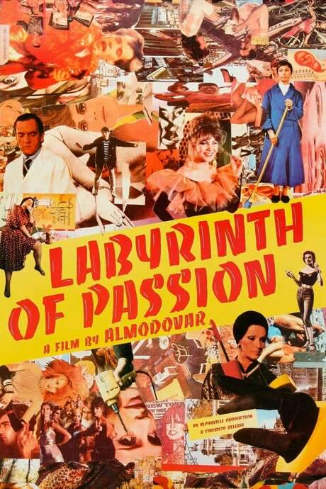 Labyrinth of Passion (1982) movie poster