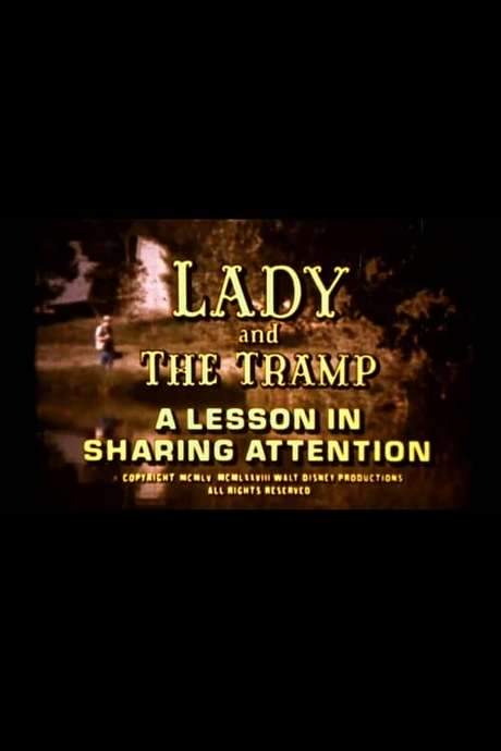 Lady and the Tramp: A Lesson in Sharing Attention (1978) movie poster