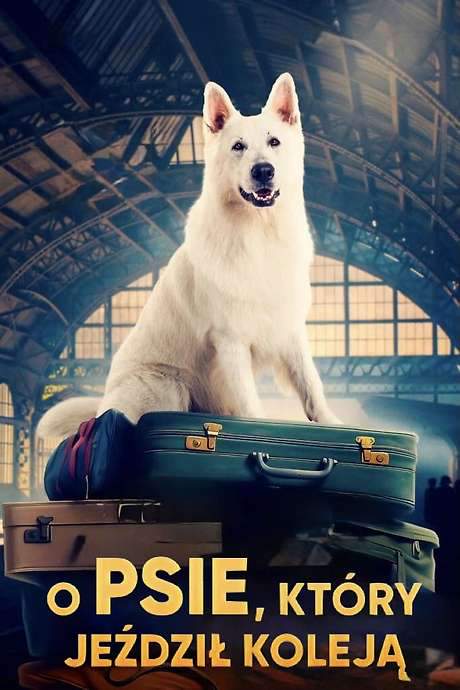 Lampo, the Travelling Dog (2023) movie poster