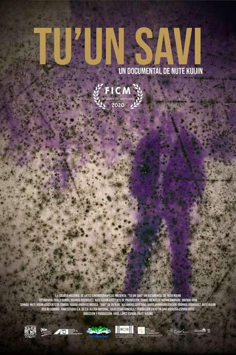 Language of the rain (2020) movie poster