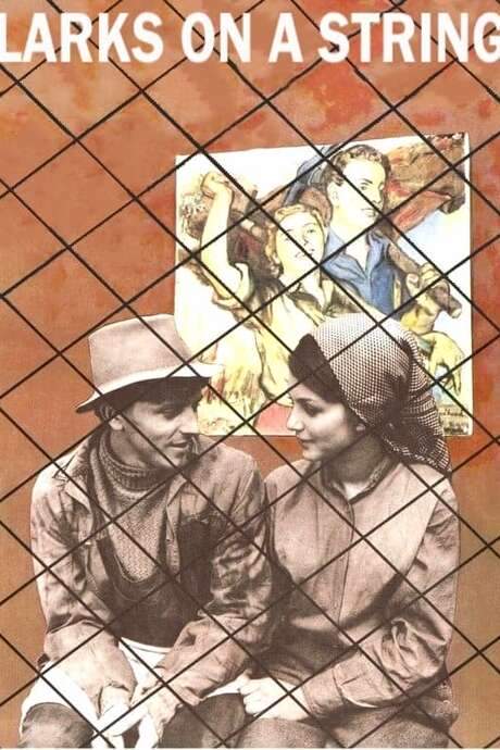 Larks on a String (1969) movie poster