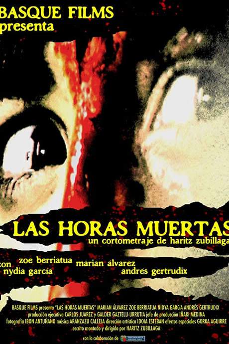 Las horas muertas (2007) movie poster
