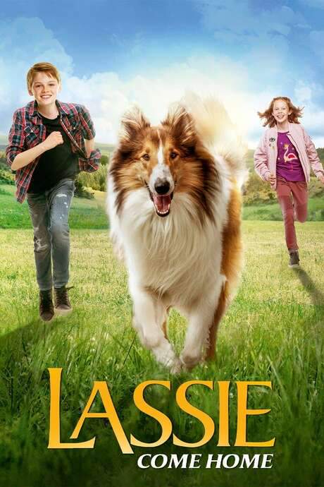 Lassie - Eine abenteuerliche Reise (2020) movie poster