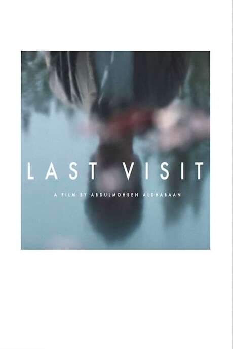Last Visit (2019) movie poster