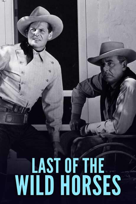 Last of the Wild Horses (1948) movie poster