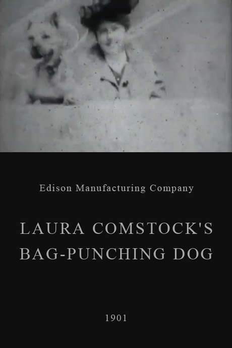 Laura Comstock’s Bag-Punching Dog (1901) movie poster