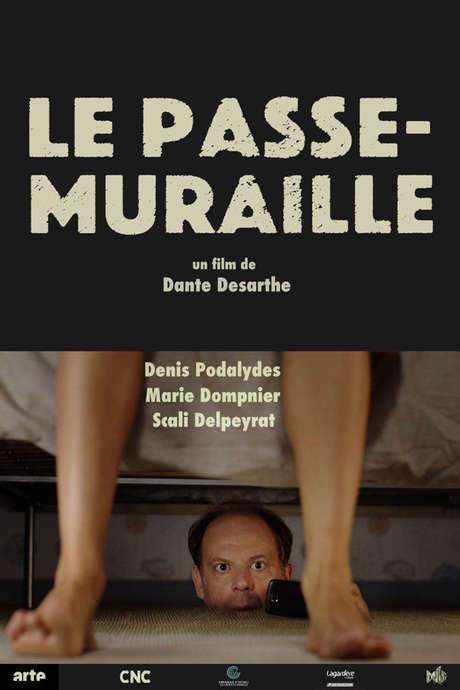 Le passe-muraille (2016) movie poster