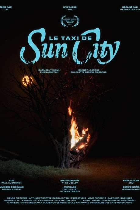 Le taxi de Sun City (2020) movie poster