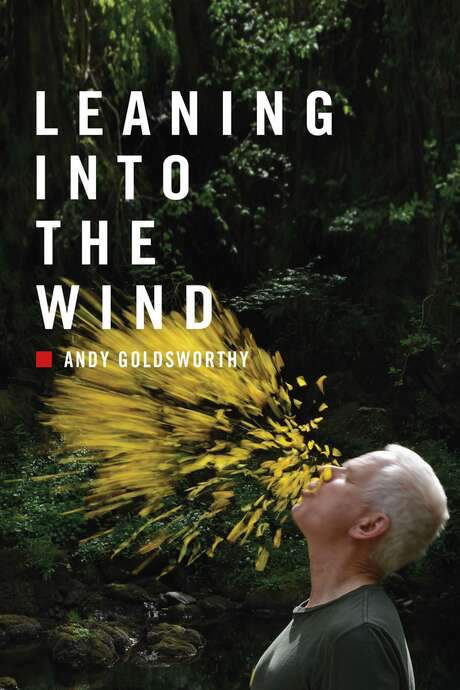 Leaning Into the Wind: Andy Goldsworthy (2017) movie poster