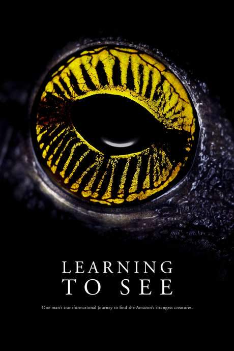 Learning To See (2016) movie poster