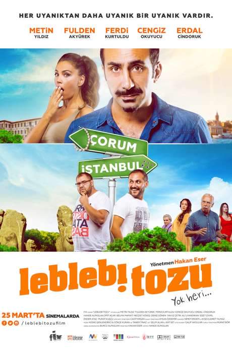 Leblebi Tozu (2016) movie poster