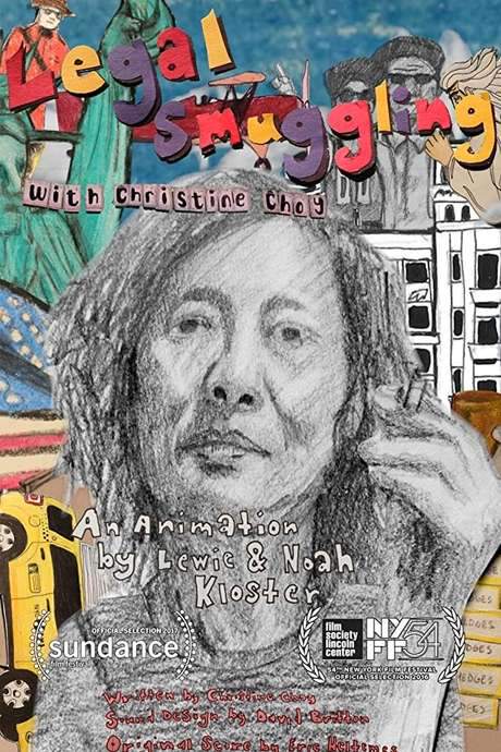 Legal Smuggling with Christine Choy (2016) movie poster