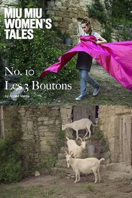 Les 3 Boutons (2015) movie poster