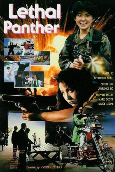 Lethal Panther (1990) movie poster