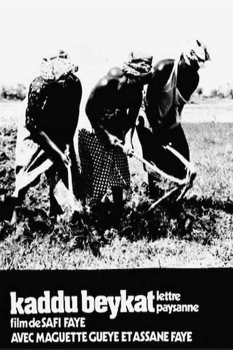 Letter from My Village (1976) movie poster