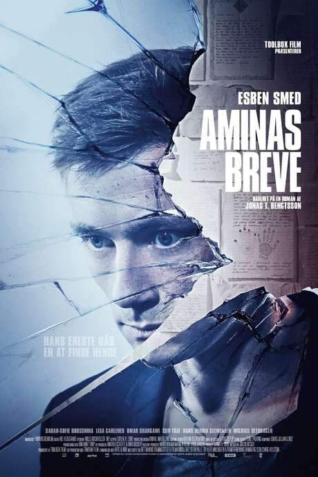 Letters to Amina (2017) movie poster