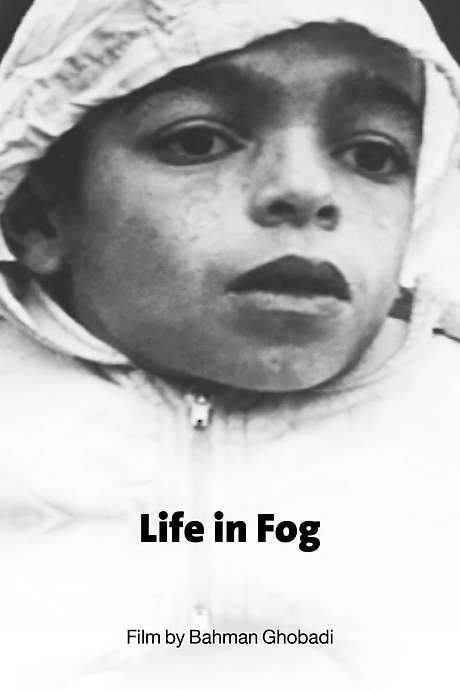 Life in Fog (1999) movie poster