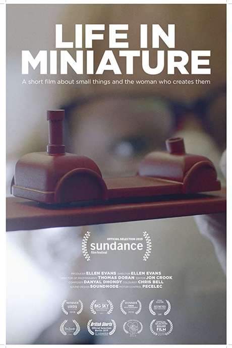 Life in Miniature (2018) movie poster