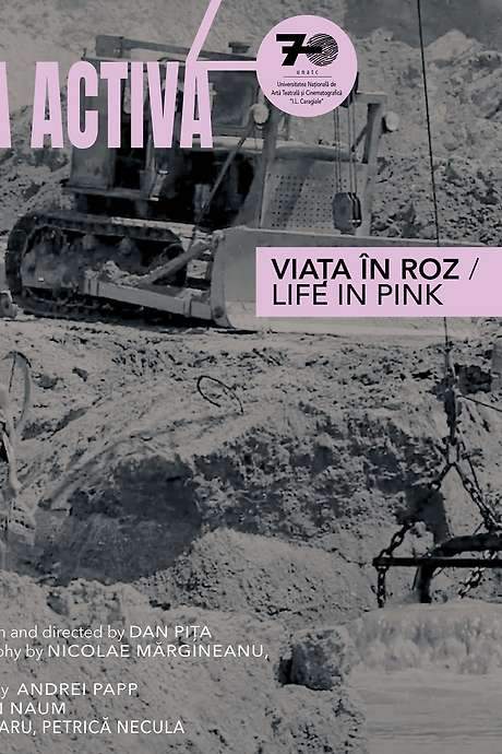 Life in Pink (1969) movie poster