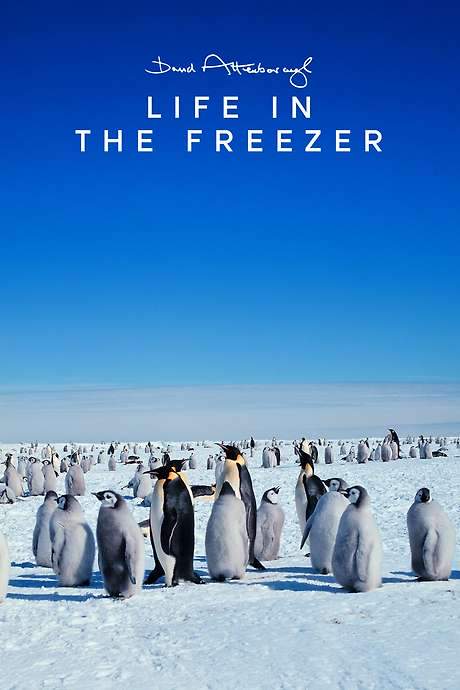 Life in the Freezer (1993) movie poster