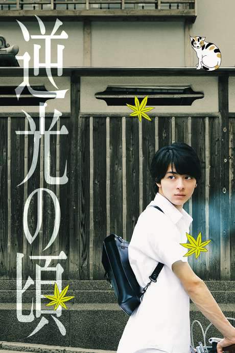 Lights of Kyoto (2017) movie poster