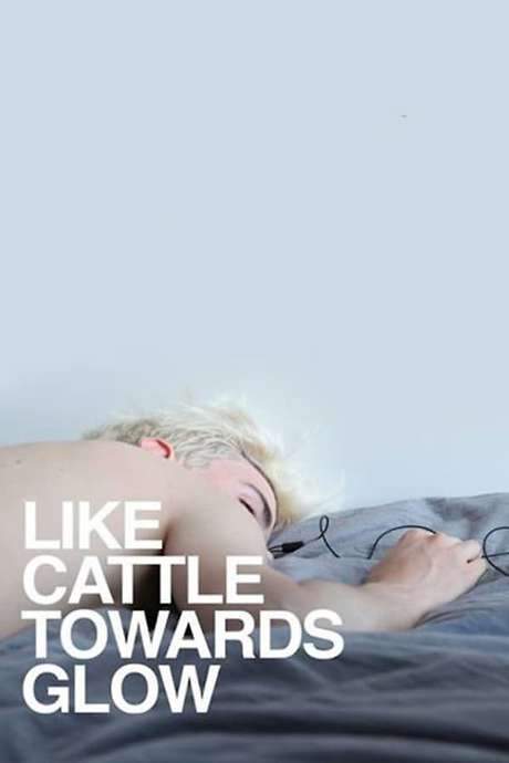 Like Cattle Towards Glow (2015) movie poster