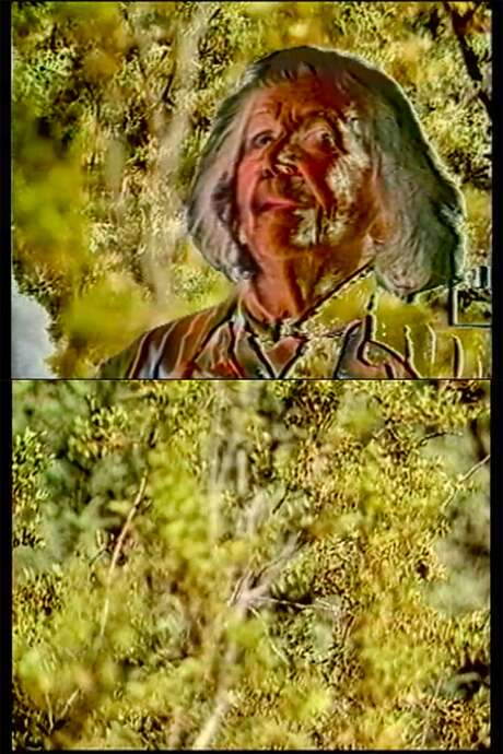 Set against a field of swaying, halting yellow vegetation, a processed image of the eponymous figure—performed by painter Doris Cross—confronts the viewer with unintelligible sounds. Evoking the mythic biblical Lilith, Steina’s video layers sound and image to create an ever‑shifting, uneasy presence that resists easy interpretation.