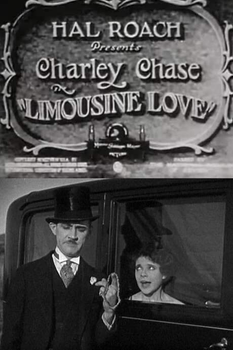 Limousine Love (1928) movie poster