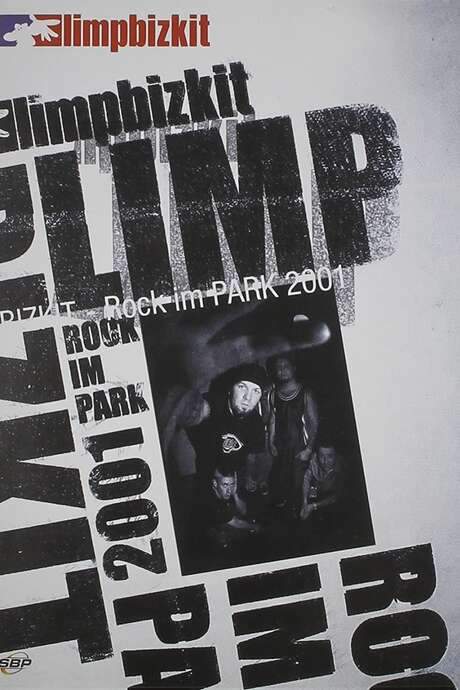 Limp Bizkit - Rock Im Park 2001 (2008) movie poster