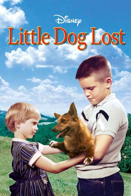Little Dog Lost (1963) movie poster