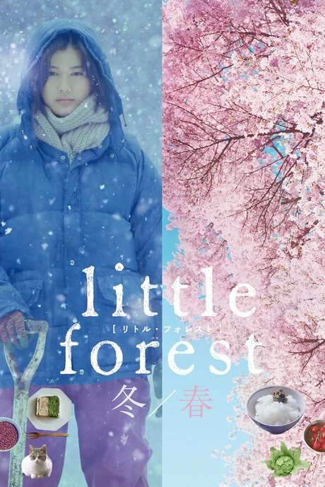 Little Forest: Winter/Spring (2015) movie poster
