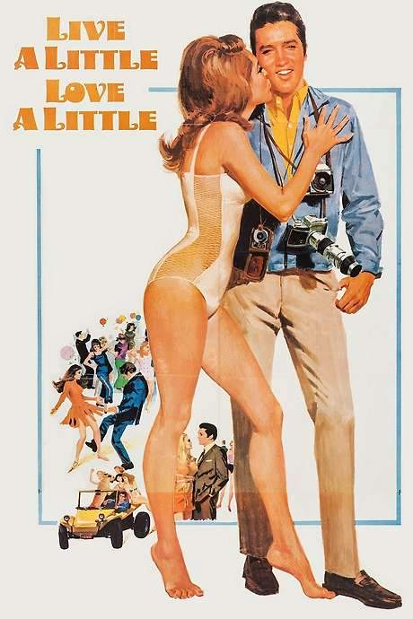 Live a Little, Love a Little (1968) movie poster