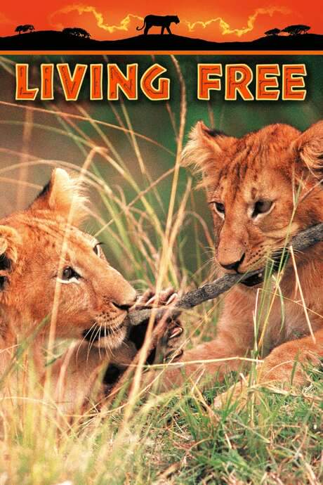 Living Free (1972) movie poster
